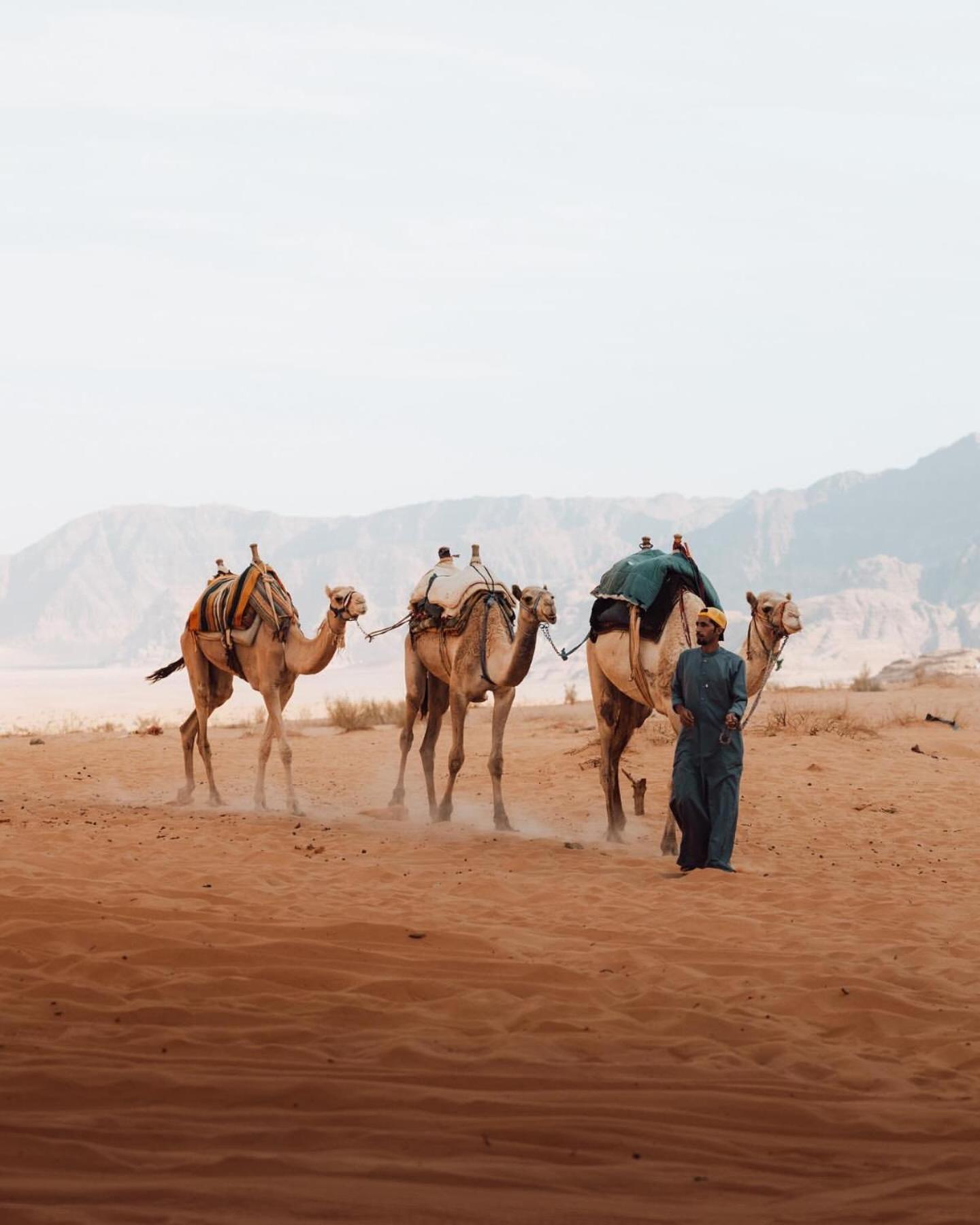 Rum Luxury Camp Wadi Rum Exterior foto